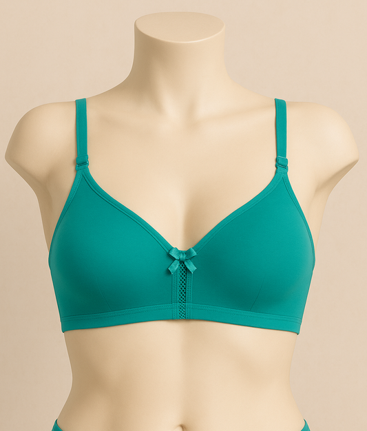 Daily use B cup double cloth bra non padded wirefree bac closure seamless cup for girls and women&nbsp;