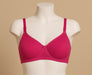 Daily wear foam bra wirefree back closure B Cup for girls and women