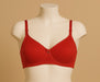 B cup daily wear foam bra wirefree back closure for girls and women 